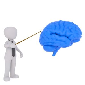 MindCrowd Memory Test • Online Brain Scientific Research