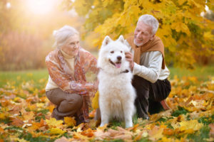 elderly couple with dog